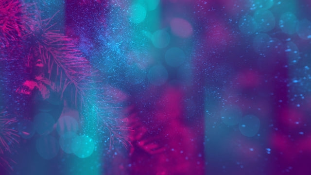 Christmas Reflections 04