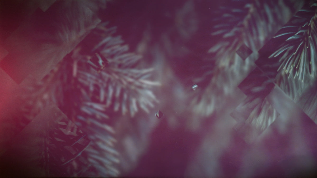 Christmas Journey 07