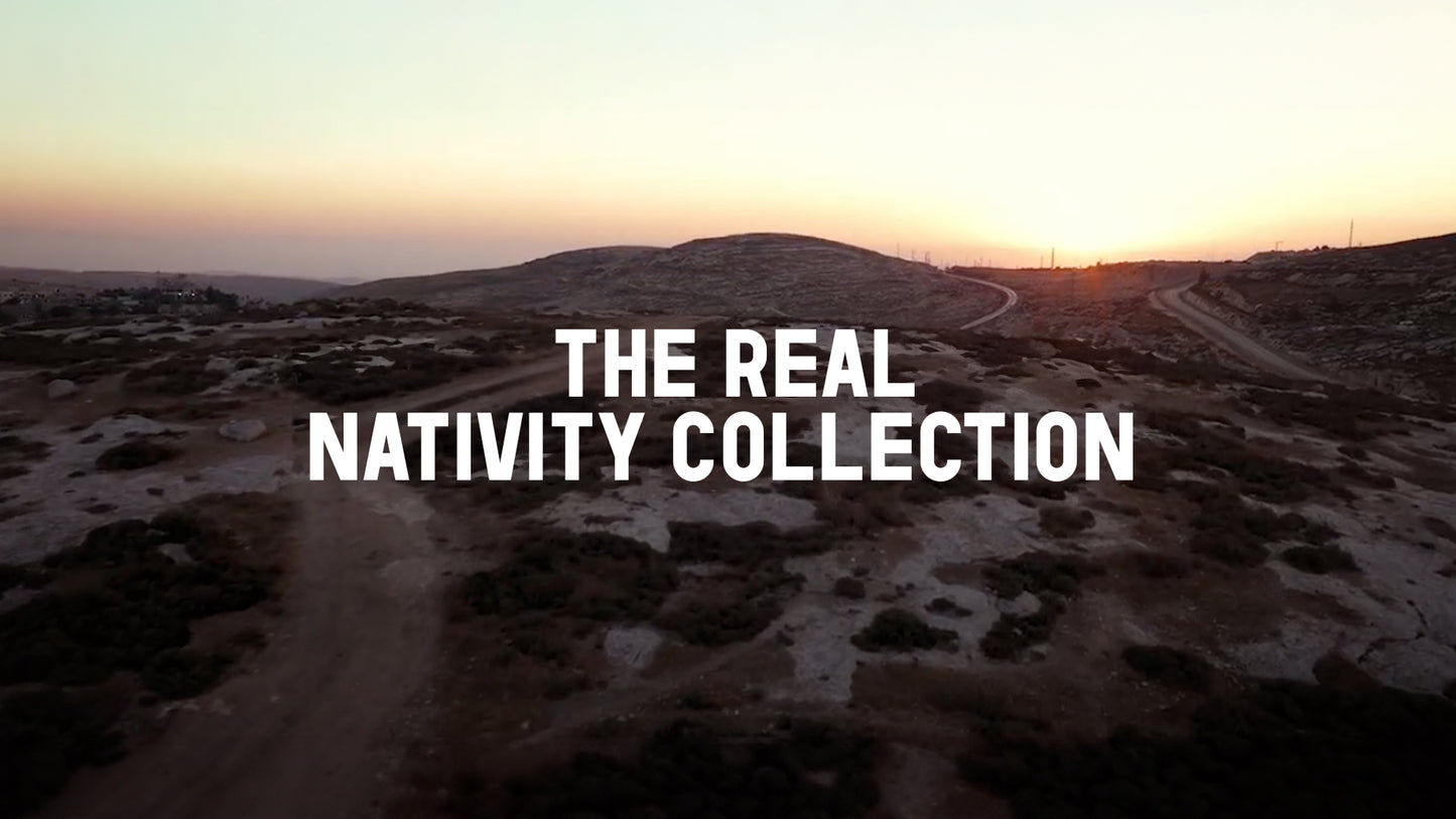 The Real Nativity Collection