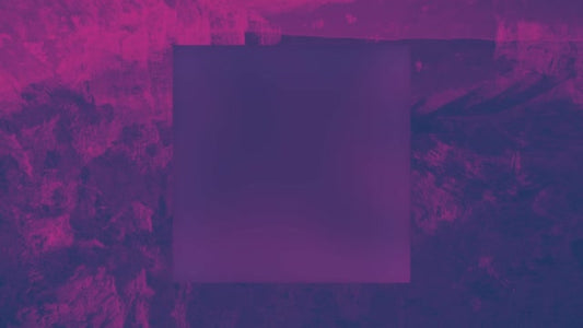 N Z Mashup 1 Alt