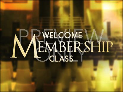 Sanctuary Member Still