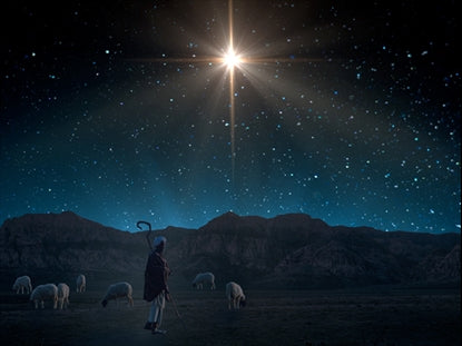 Starry Night Nativity 5