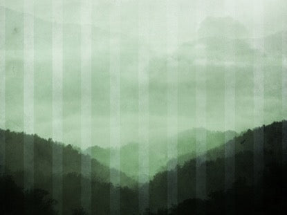 Calming Nature Green 4 Motion