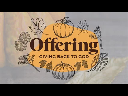 Line Art Autumn Offering