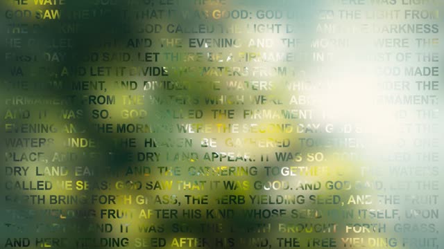 In The Beginning 2c