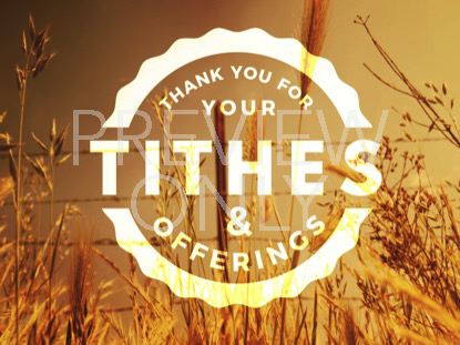 Sunny Field Tithing