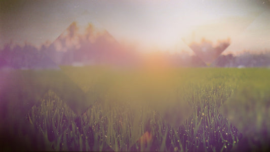 Spring Journey 11