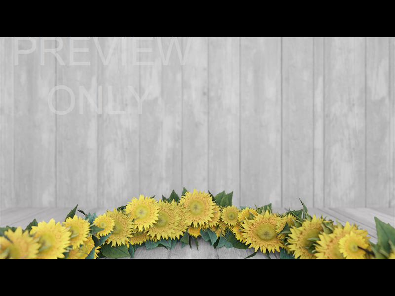 Summer Wreath Still 18