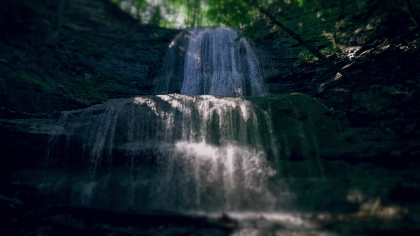 Nature'S Force 8 Still