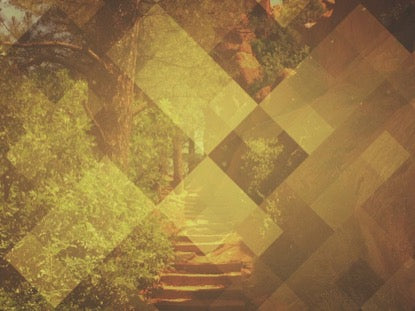 Pattern Nature Steps