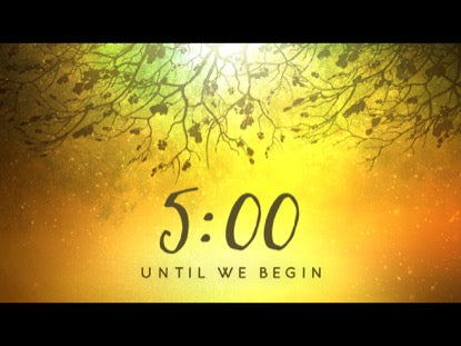 Spiced Woods Countdown