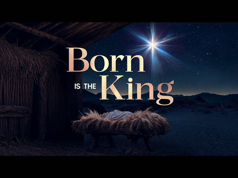 Christmas Promise Born Is The King