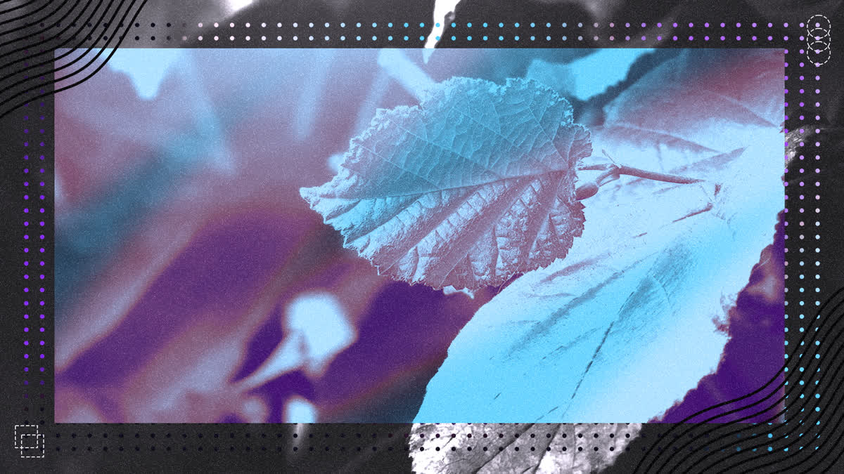 Wonder Background 01