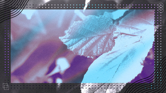 Wonder Background 01