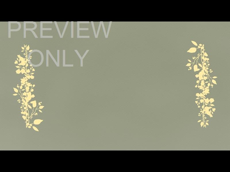 Petite Flower: Still 11