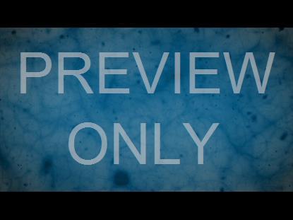 Coronavirus Update Volume One: Teaching Still. 3