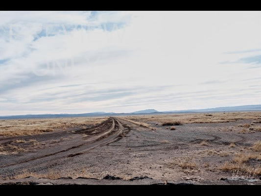 Desert Road