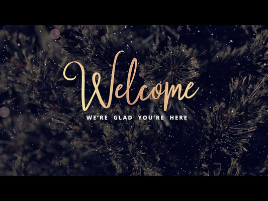 Christmas Tree Welcome