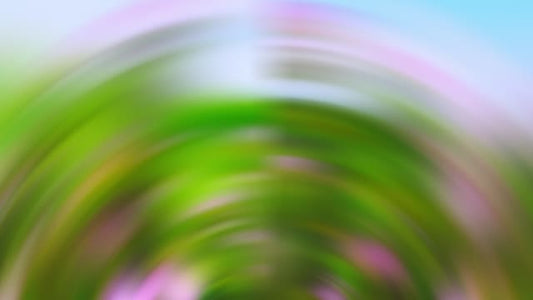Springtime Bloom 29