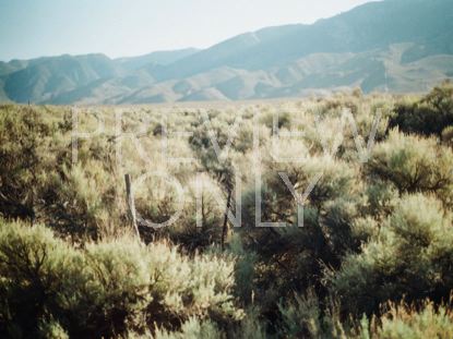 Desert Mountains