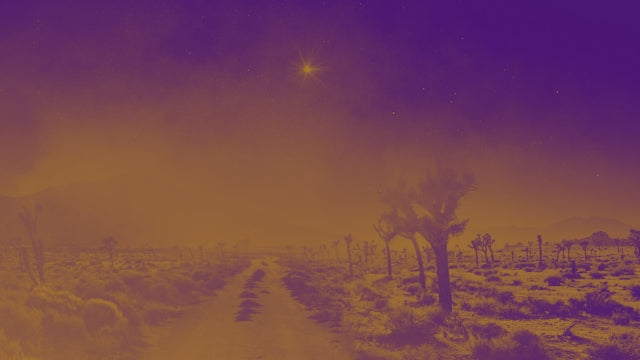 Amber Christmas Road