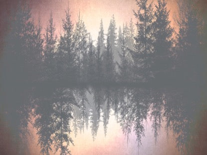 Natures Beauty 5 Motion