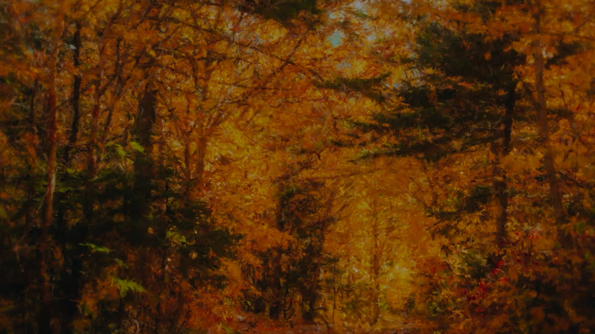 Autumn Vibes 1 Alt