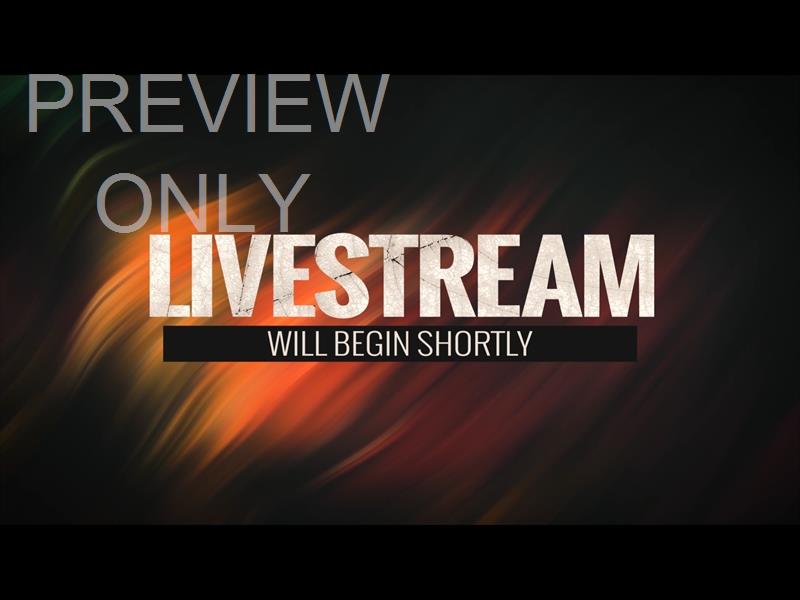 Flowing Fall Livestream Still