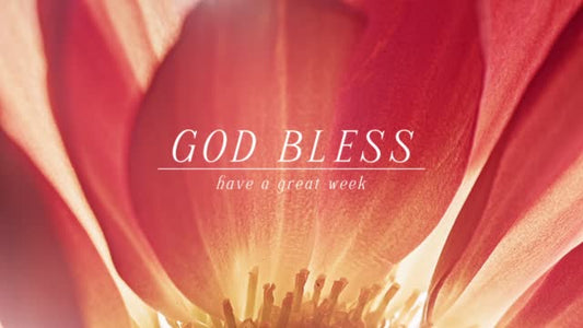 Flowers Of The Field God Bless