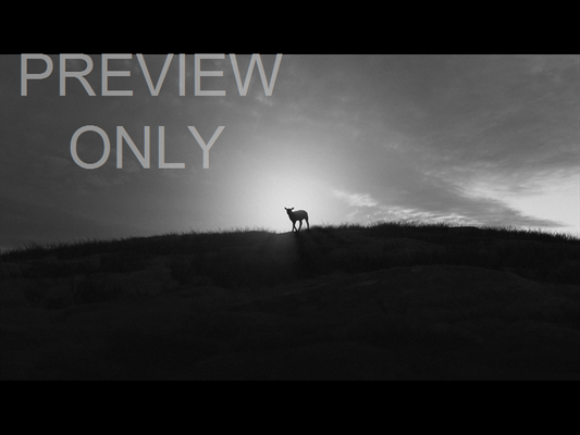 His Plan Is Perfect: Still 22