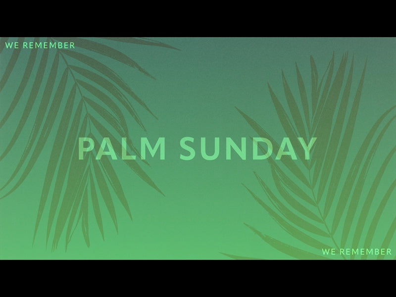 Risen Palms Palm Sunday