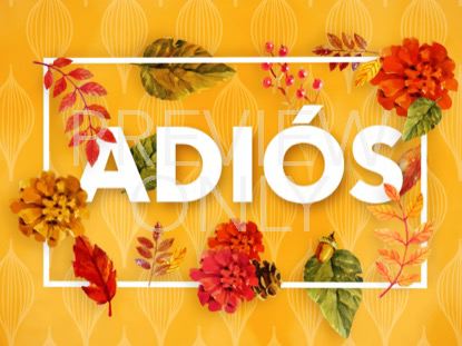 Colors Of Fall Closing Still - Spanish