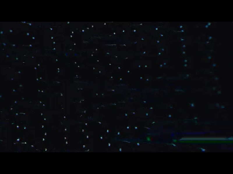Digital Collapse 10