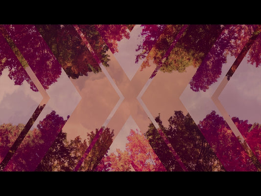 Fall Trees 7 Remix