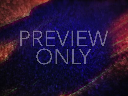 Color Dynamics Still 9