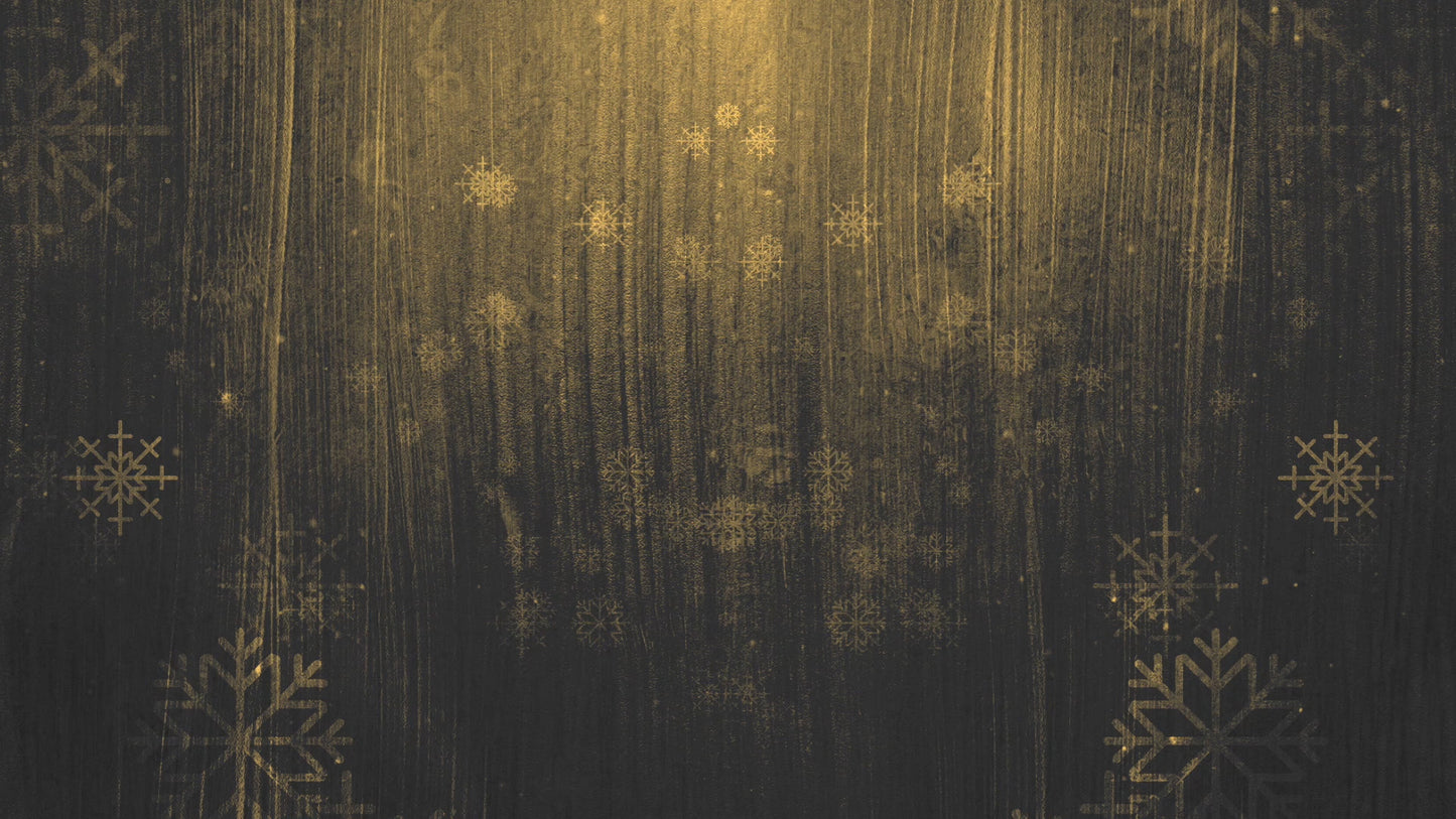 Rustic Winter Snow 06