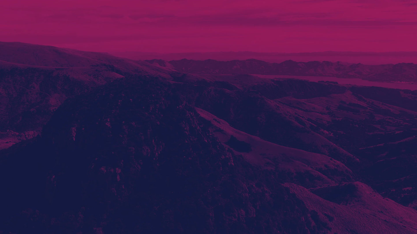 Peaceful Flight 2 Tint