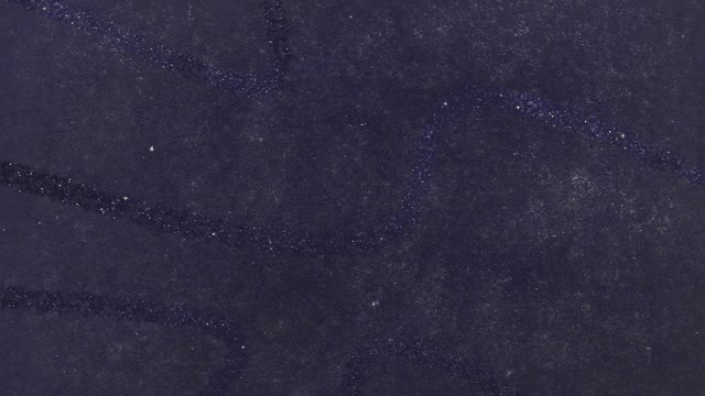 Starlight Scribbles 10