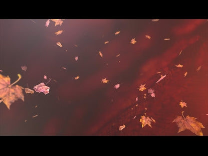 Thankful Fall 1