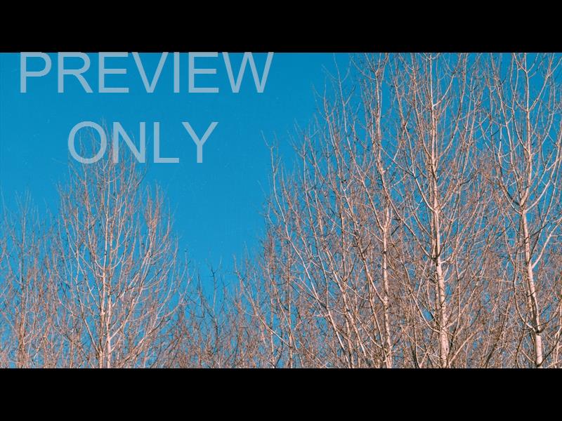 High Heavens Still 04