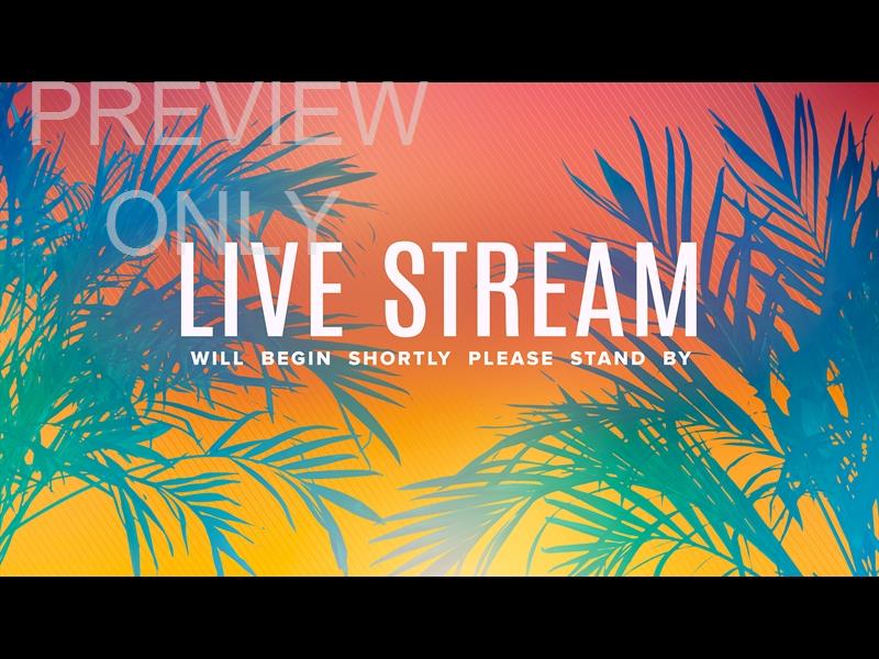 Sun Palms Live Stream Still
