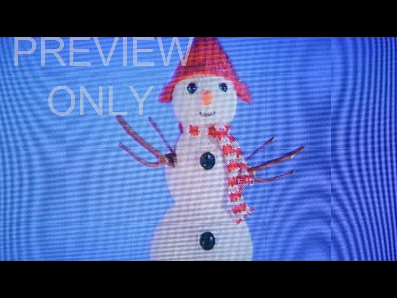 Crt Christmas Ornaments Still 23