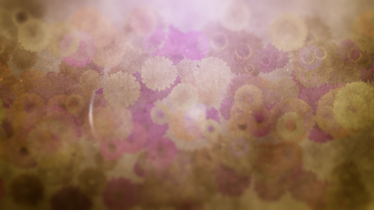 Floral Sparkle 02