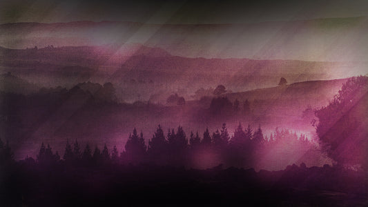 Streaming Beauty 4 Still