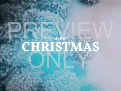 Aerial Snow Christmas