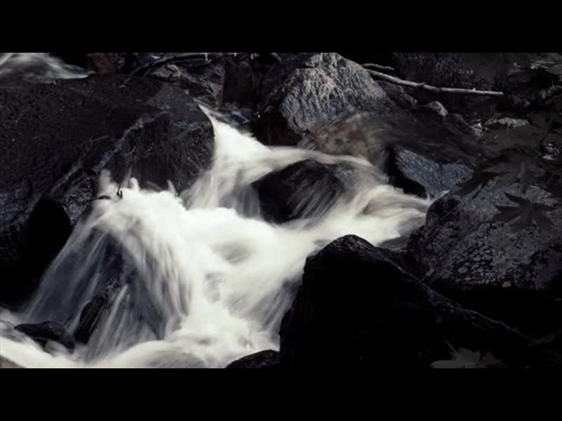 Yosemite River 6