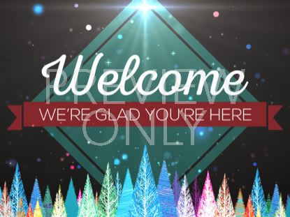 Colorful Christmas Trees Welcome