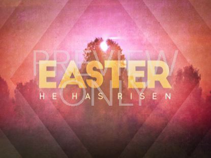 Spring Morning Easter Still