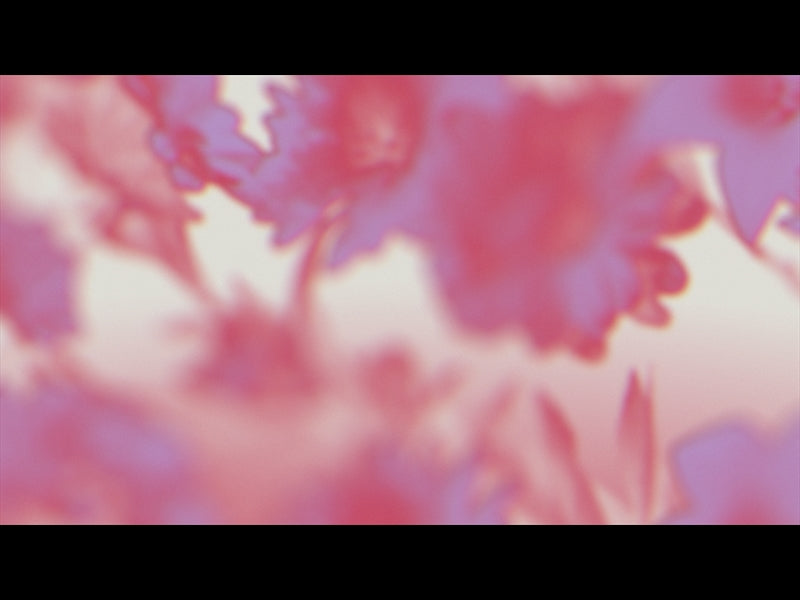Made Beautiful Loop 05