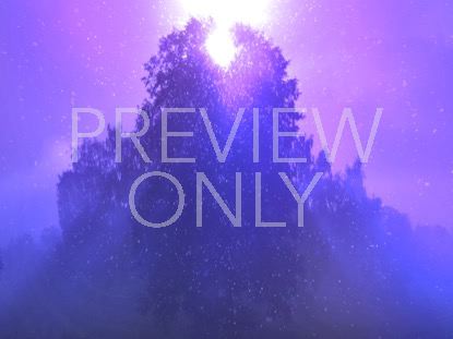 Only Christ Purple Still